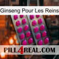 Ginseng For Kidney 10